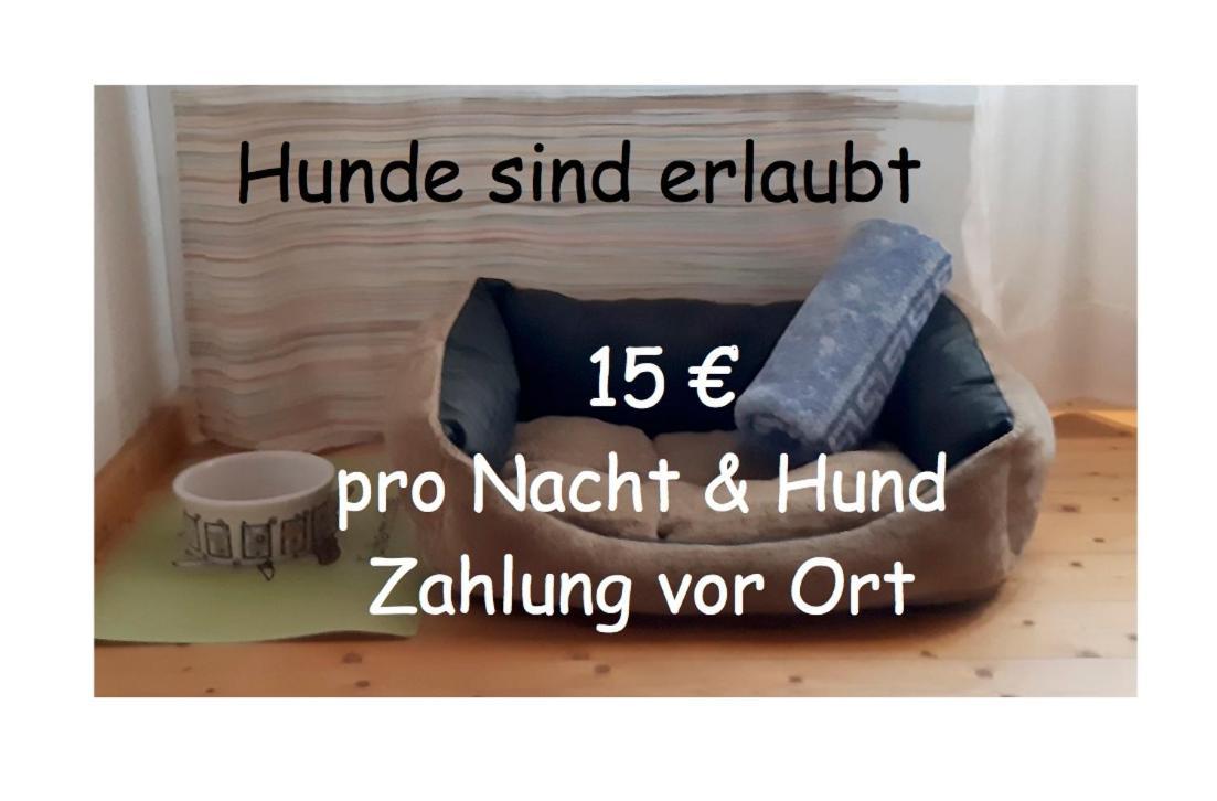 Gaestezimmer Im Freudenthal Extertal Екстериор снимка
